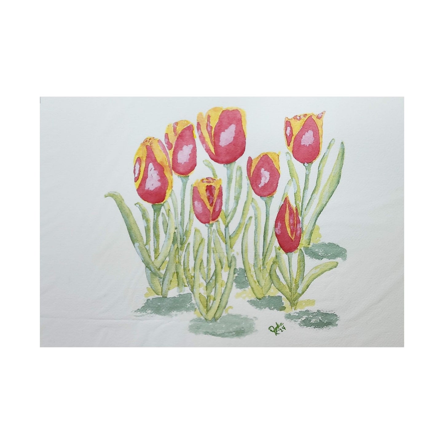 Poster Print - Red and Yellow Tulips Watercolor Painting